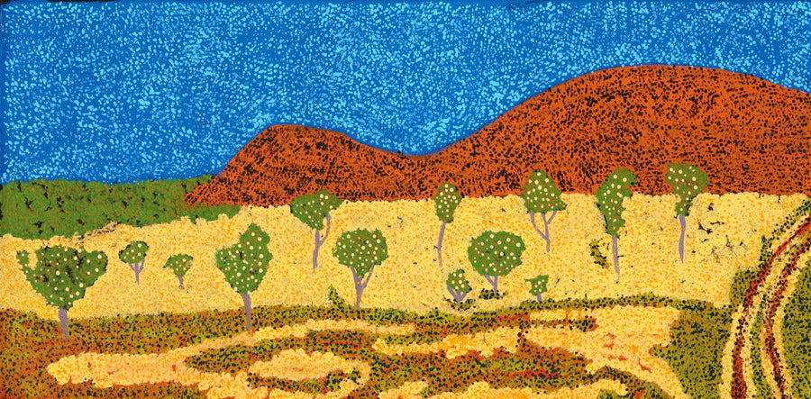 Aboriginal Artwork by Senita Napangardi Granites, Nguru Yurntumu-wana (Country around Yuendumu), 61x30cm