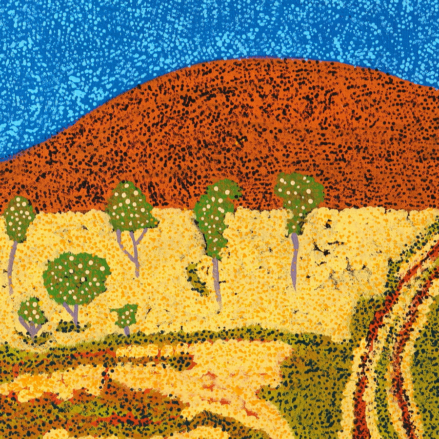 Aboriginal Artwork by Senita Napangardi Granites, Nguru Yurntumu-wana (Country around Yuendumu), 61x30cm