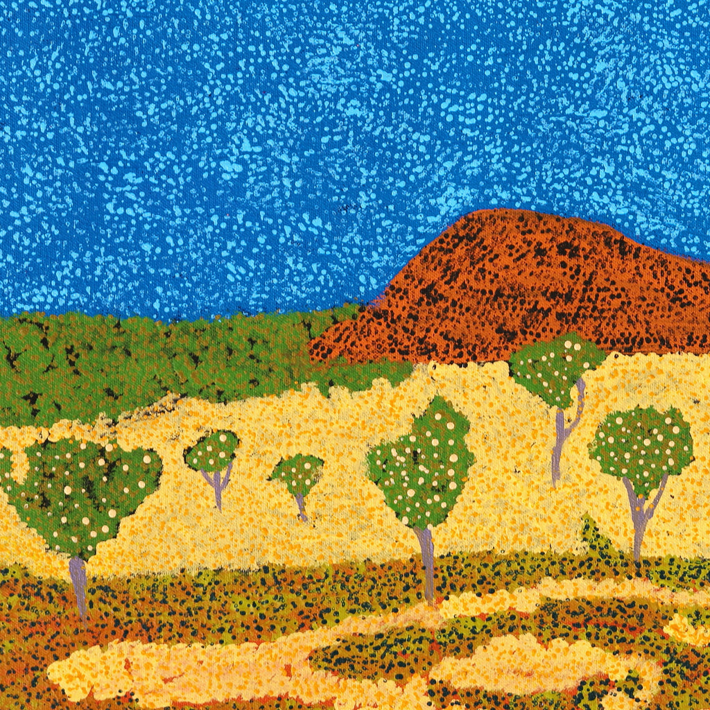 Aboriginal Art by Senita Napangardi Granites, Nguru Yurntumu-wana (Country around Yuendumu), 61x30cm - ART ARK®