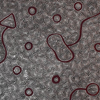 Aboriginal Artwork by Shanna Napanangka Williams, Ngapa Jukurrpa - Puyurru, 122x91cm