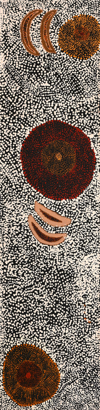 Aboriginal Artwork by Sheree Napurrurla Wayne, Lukarrara Jukurrpa (Desert Fringe-rush Seed Dreaming), 122x30cm