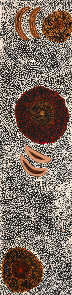 Aboriginal Artwork by Sheree Napurrurla Wayne, Lukarrara Jukurrpa (Desert Fringe-rush Seed Dreaming), 122x30cm