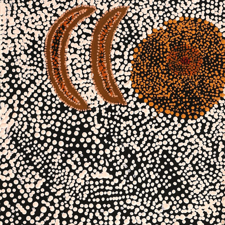 Aboriginal Artwork by Sheree Napurrurla Wayne, Lukarrara Jukurrpa (Desert Fringe-rush Seed Dreaming), 122x30cm
