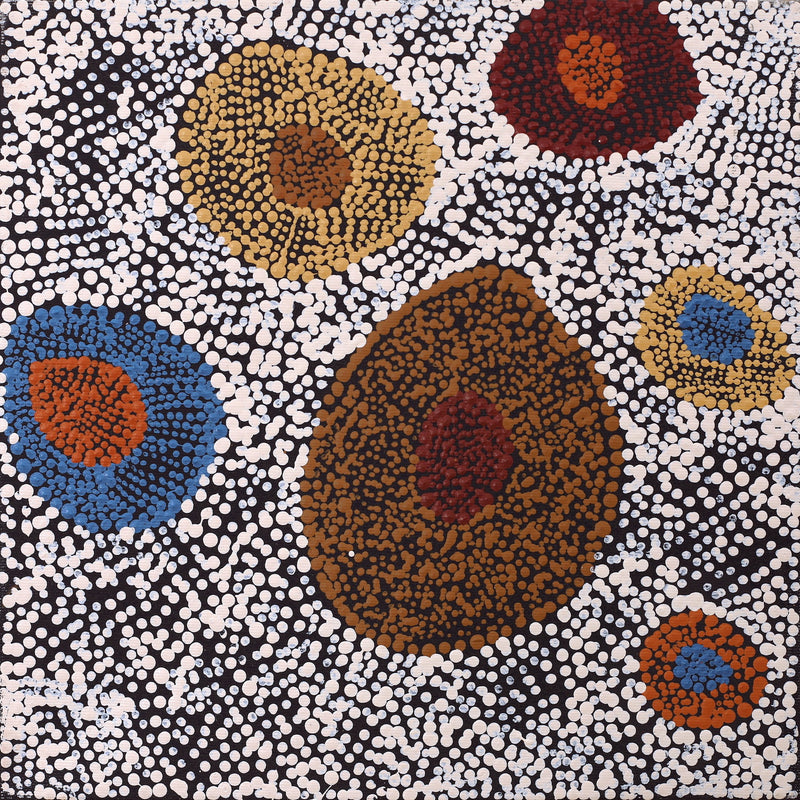Aboriginal Artwork by Sheree Napurrurla Wayne, Lukarrara Jukurrpa (Desert Fringe-rush Seed Dreaming), 30x30cm