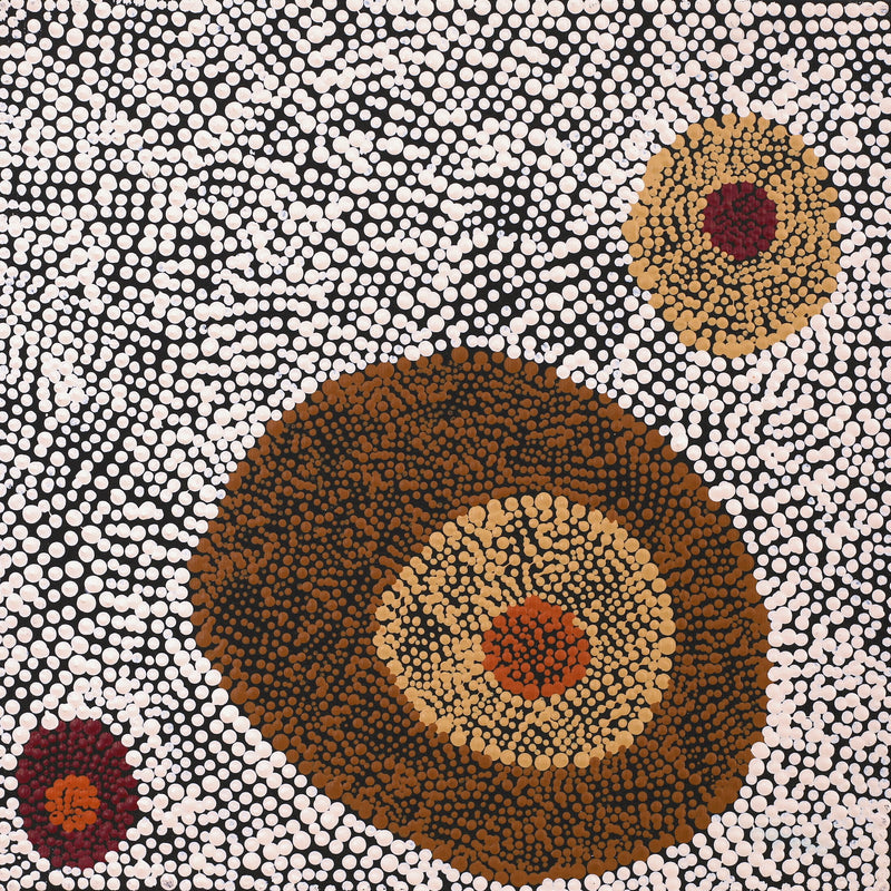 Aboriginal Artwork by Sheree Napurrurla Wayne, Lukarrara Jukurrpa (Desert Fringe-rush Seed Dreaming), 30x30cm
