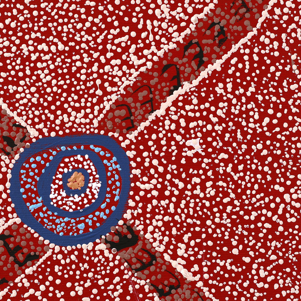 Aboriginal Artwork by Sheree Napurrurla Wayne, Lukarrara Jukurrpa (Desert Fringe-rush Seed Dreaming), 30x30cm