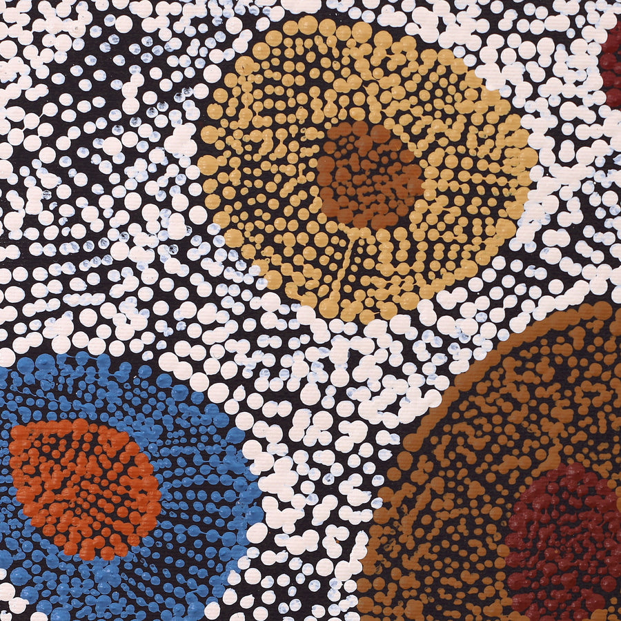 Aboriginal Artwork by Sheree Napurrurla Wayne, Lukarrara Jukurrpa (Desert Fringe-rush Seed Dreaming), 30x30cm
