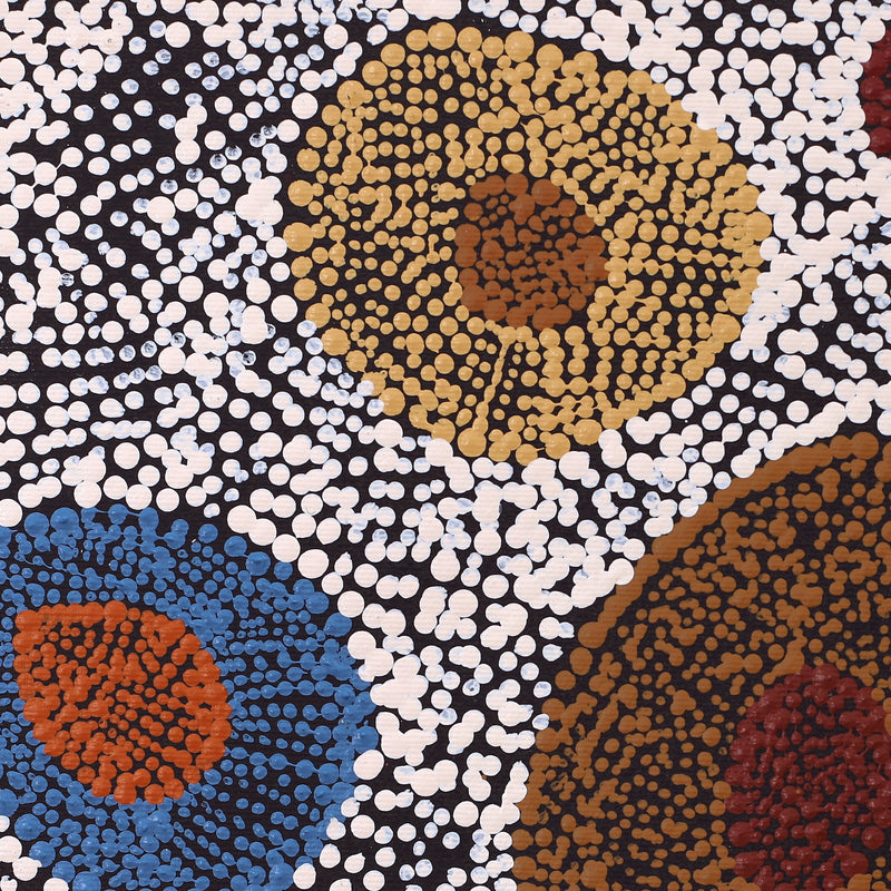 Aboriginal Artwork by Sheree Napurrurla Wayne, Lukarrara Jukurrpa (Desert Fringe-rush Seed Dreaming), 30x30cm