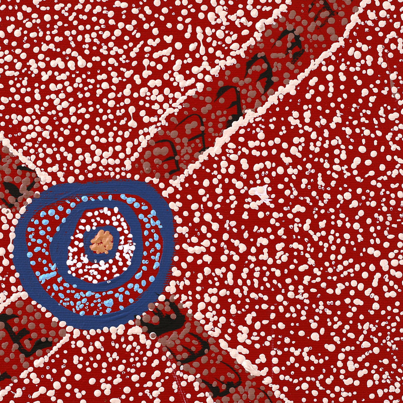 Aboriginal Artwork by Sheree Napurrurla Wayne, Lukarrara Jukurrpa (Desert Fringe-rush Seed Dreaming), 30x30cm