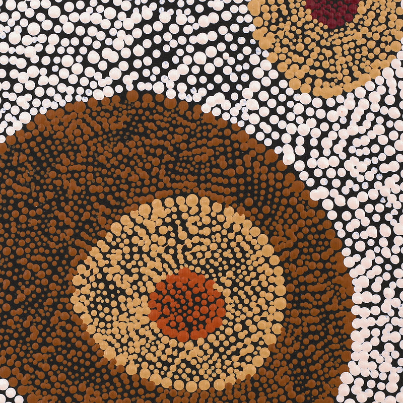Aboriginal Artwork by Sheree Napurrurla Wayne, Lukarrara Jukurrpa (Desert Fringe-rush Seed Dreaming), 30x30cm