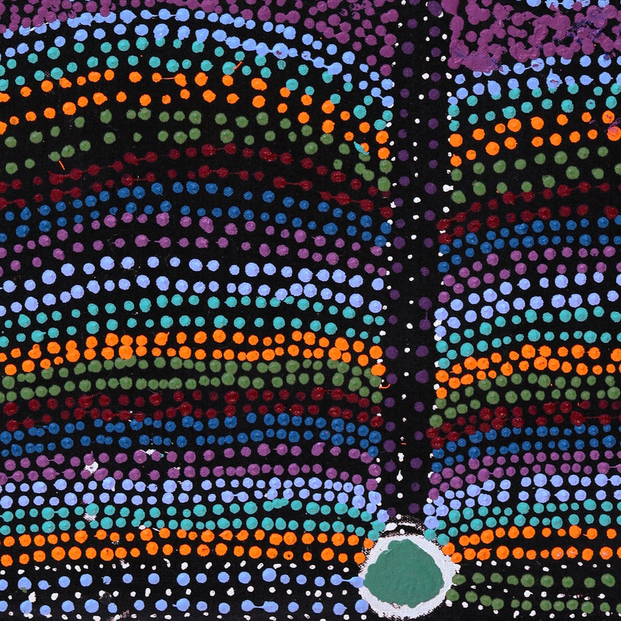 Aboriginal Artwork by Sheree Napurrurla Wayne, Lukarrara Jukurrpa (Desert Fringe-rush Seed Dreaming), 61x46cm