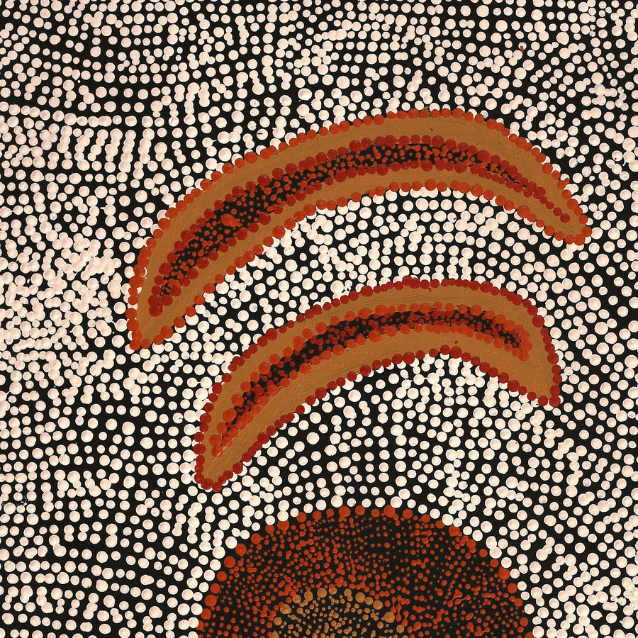 Aboriginal Artwork by Sheree Napurrurla Wayne, Lukarrara Jukurrpa (Desert Fringe-rush Seed Dreaming), 76x46cm