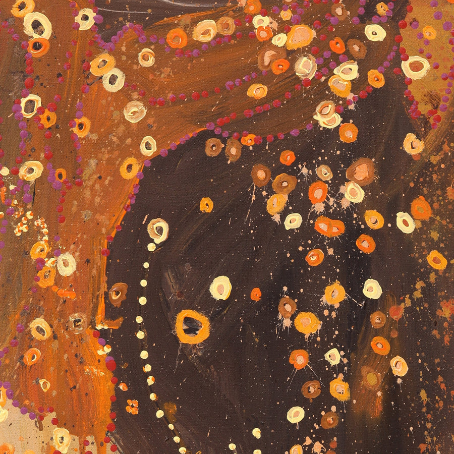 Aboriginal Artwork by Steven Jupurrurla Nelson, Janganpa Jukurrpa (Brush-tail Possum Dreaming), 76x61cm