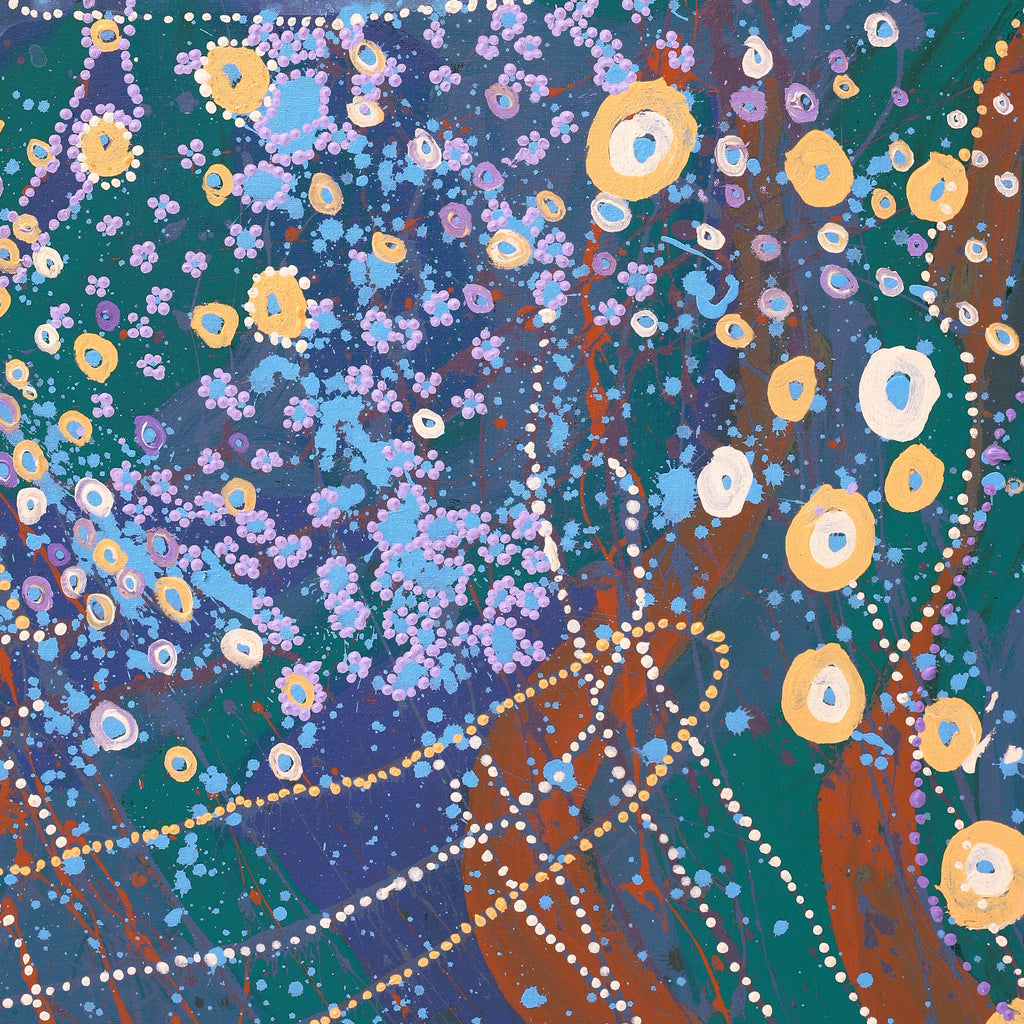 Aboriginal Artwork by Steven Jupurrurla Nelson, Janganpa Jukurrpa (Brush-tail Possum Dreaming), 91x76cm