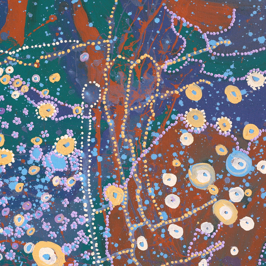 Aboriginal Artwork by Steven Jupurrurla Nelson, Janganpa Jukurrpa (Brush-tail Possum Dreaming), 91x76cm