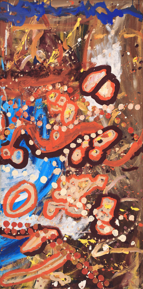 Aboriginal Artwork by Steven Jupurrurla Nelson, Janganpa Jukurrpa (Brush-tail Possum Dreaming) - Mawurrji, 183x91cm