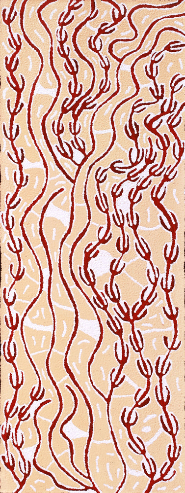 Aboriginal Artwork by Susie Nangala Watson, Mina Mina Dreaming, 122x46cm