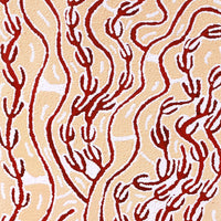 Aboriginal Artwork by Susie Nangala Watson, Mina Mina Dreaming, 122x46cm