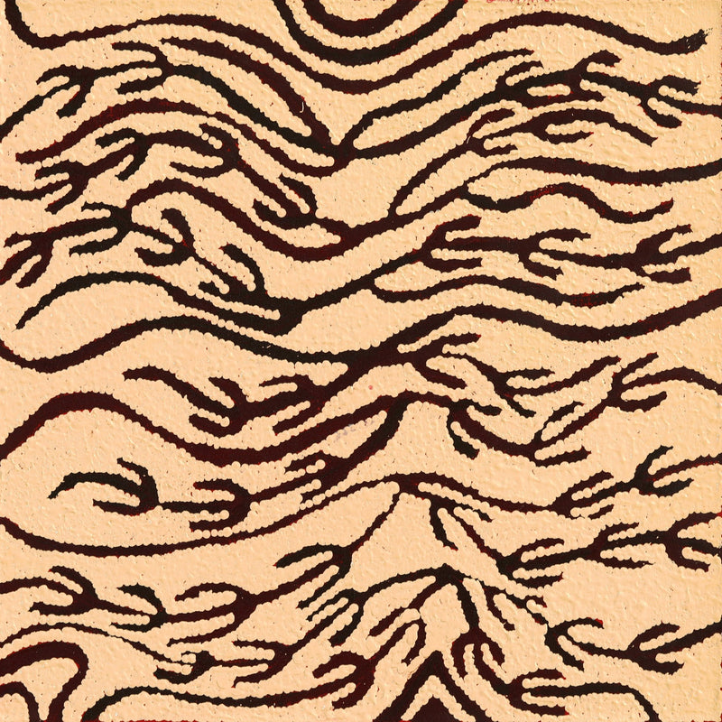 Aboriginal Artwork by Susie Nangala Watson, Mina Mina Dreaming, 46x46cm