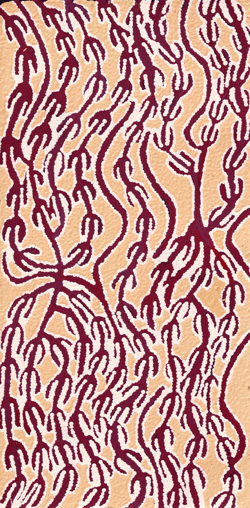 Aboriginal Artwork by Susie Nangala Watson, Mina Mina Dreaming, 61x30cm