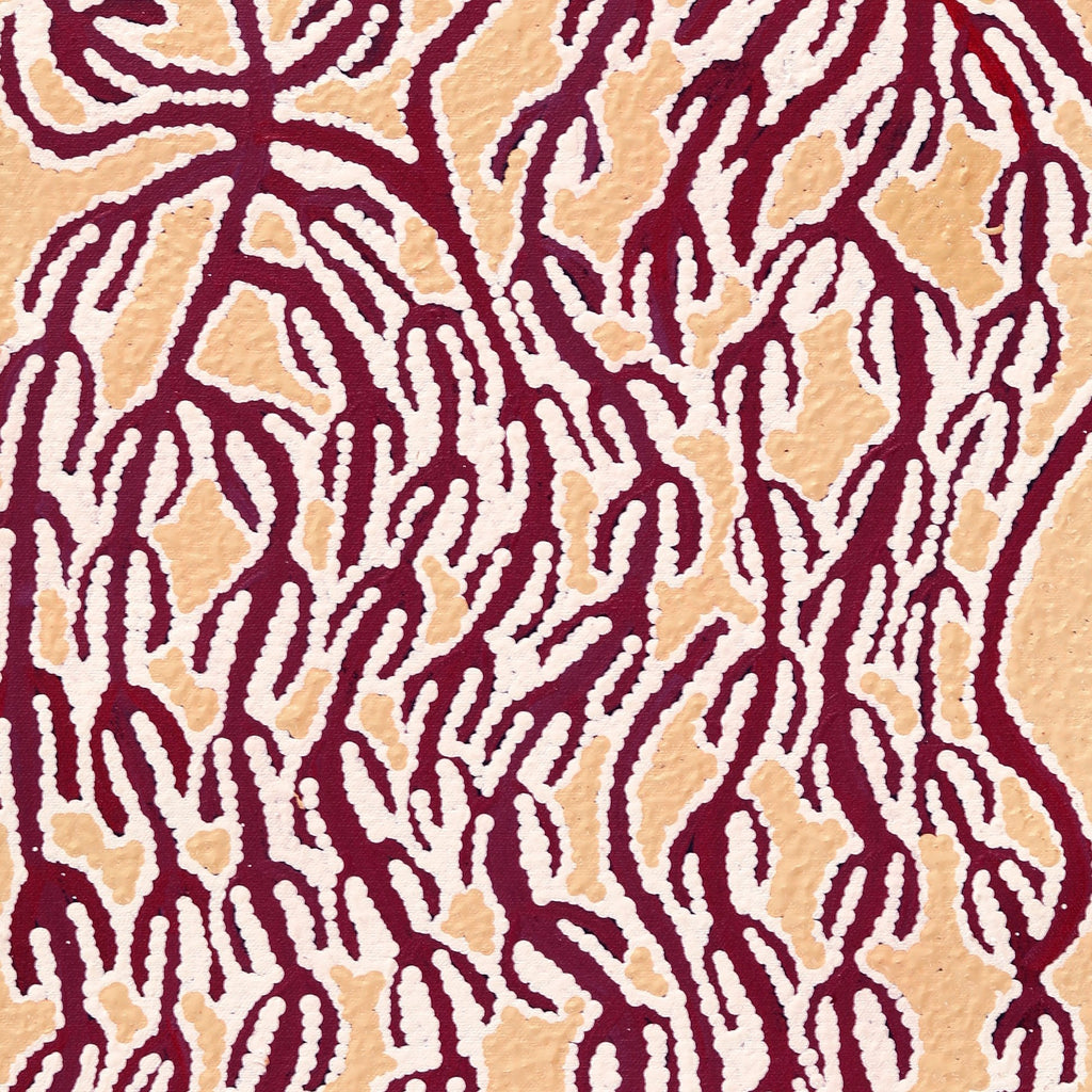 Aboriginal Artwork by Susie Nangala Watson, Mina Mina Dreaming, 61x30cm