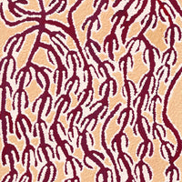 Aboriginal Artwork by Susie Nangala Watson, Mina Mina Dreaming, 61x30cm