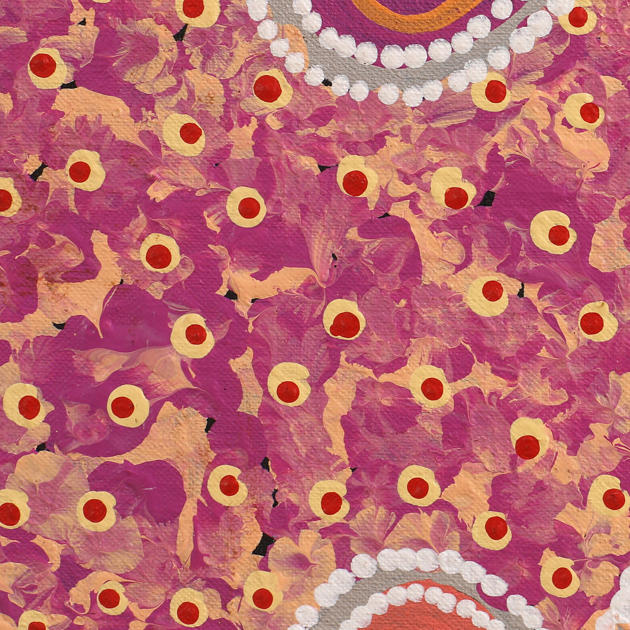 Aboriginal Artwork by Brenda Punytjina Armstrong, Kaliny-kalinypa / Ultukunpa Jukurrpa - Honey Grevillea Dreaming, 107x61cm