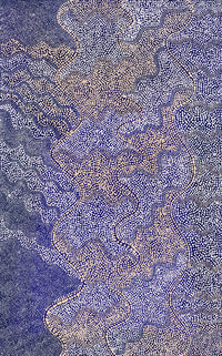 Aboriginal Artwork by Caroline Nakamarra Gibson, Ngapa Jukurrpa (Water Dreaming) - Wapurtali, 122x76cm