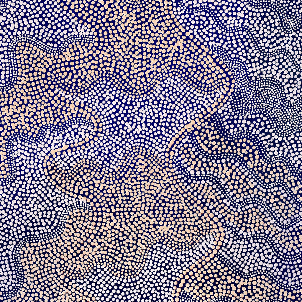 Aboriginal Artwork by Caroline Nakamarra Gibson, Ngapa Jukurrpa (Water Dreaming) - Wapurtali, 122x76cm