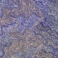 Aboriginal Artwork by Caroline Nakamarra Gibson, Ngapa Jukurrpa (Water Dreaming) - Wapurtali, 122x76cm
