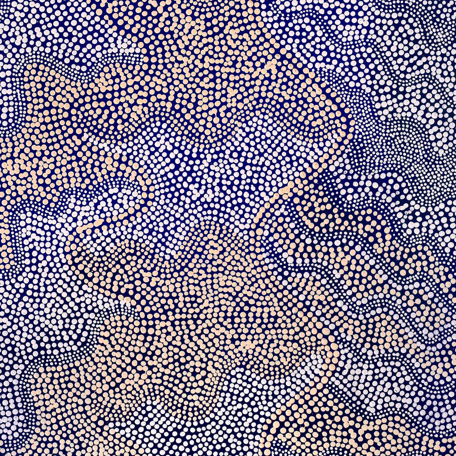 Aboriginal Artwork by Caroline Nakamarra Gibson, Ngapa Jukurrpa (Water Dreaming) - Wapurtali, 122x76cm