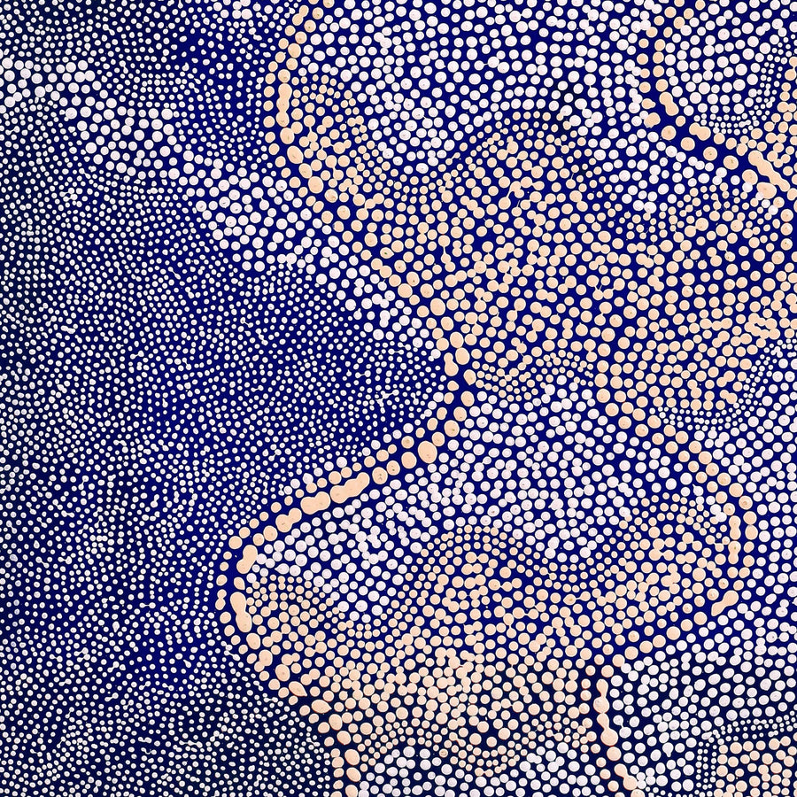 Aboriginal Artwork by Caroline Nakamarra Gibson, Ngapa Jukurrpa (Water Dreaming) - Wapurtali, 122x76cm