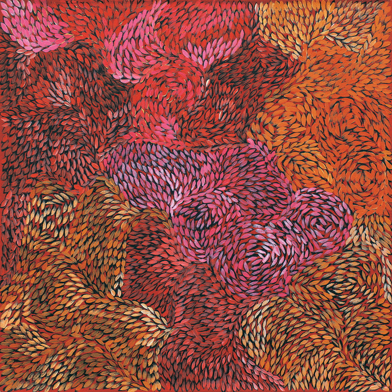 Aboriginal Artwork by Daphne Napurrula Marks, Yalka Dreaming (bush onion), 50x50cm