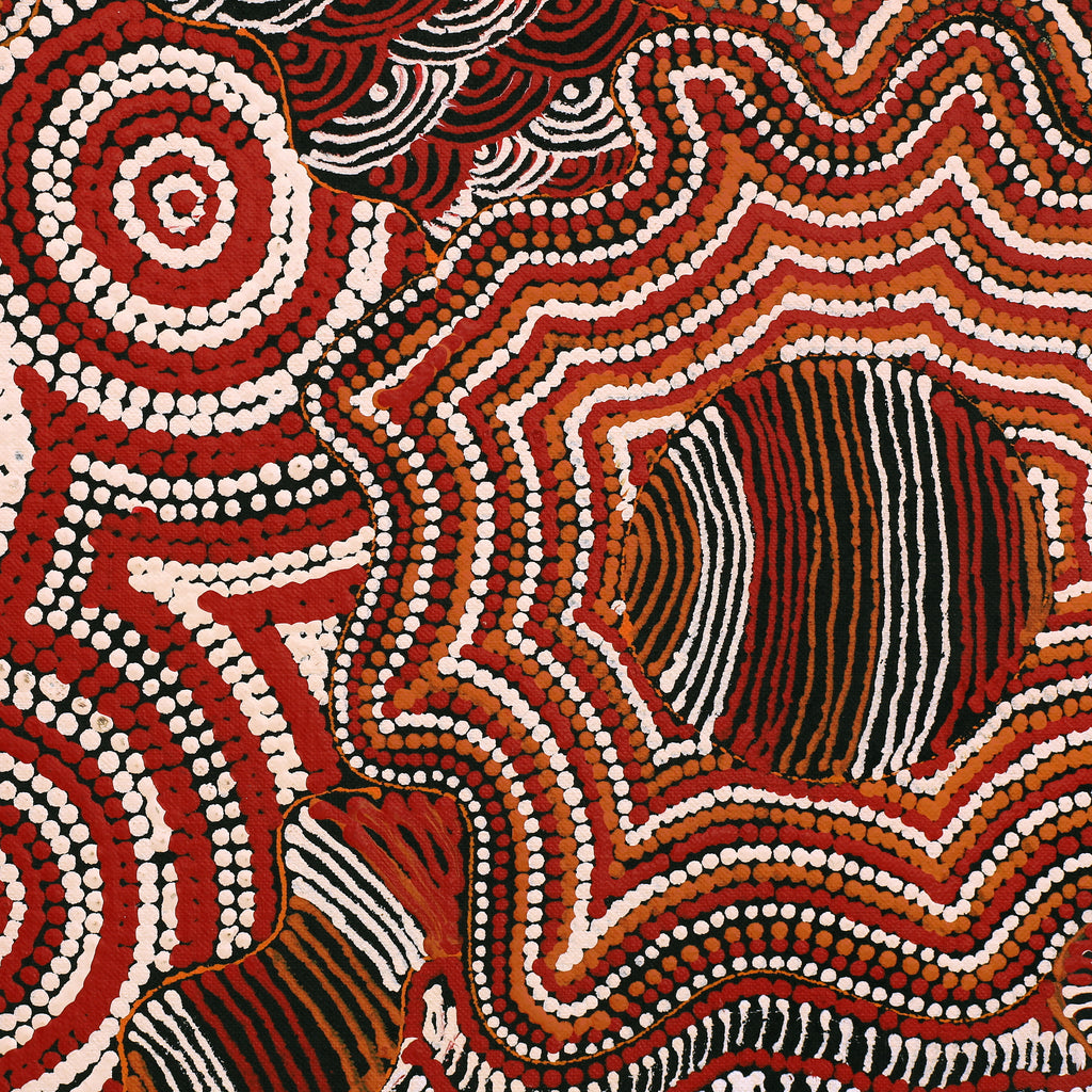 Aboriginal Artwork by Maggie Napangardi Williams, Janmarda Jukurrpa (Bush Onion Dreaming), 61x61cm