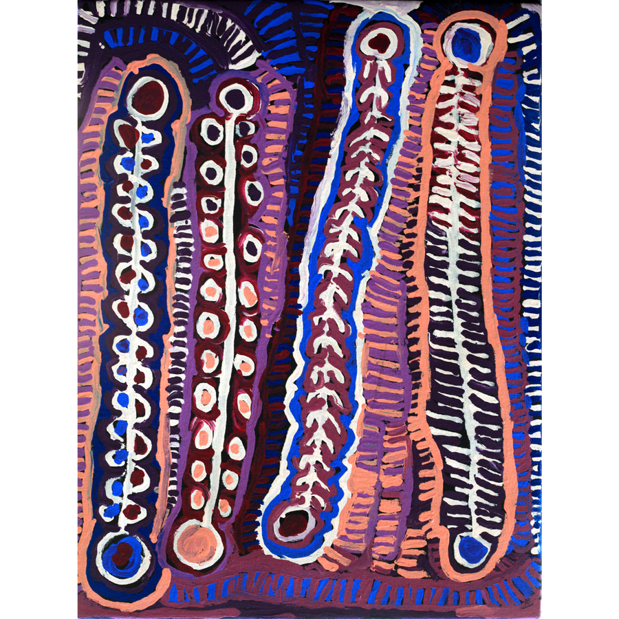Aboriginal Artwork by Murdie Nampijinpa Morris, Malikijarra Jukurrpa, 61x46cm
