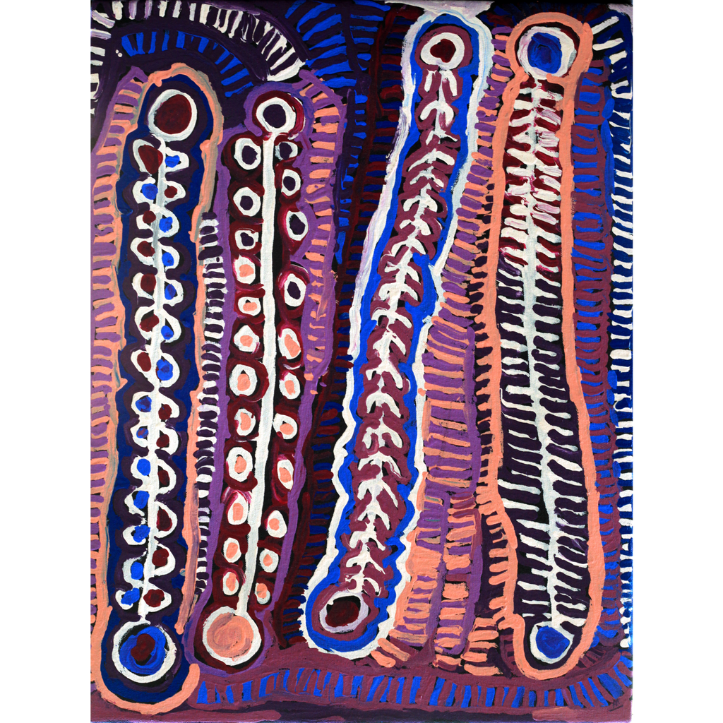 Aboriginal Art by Murdie Nampijinpa Morris, Malikijarra Jukurrpa, 61x46cm - ART ARK®