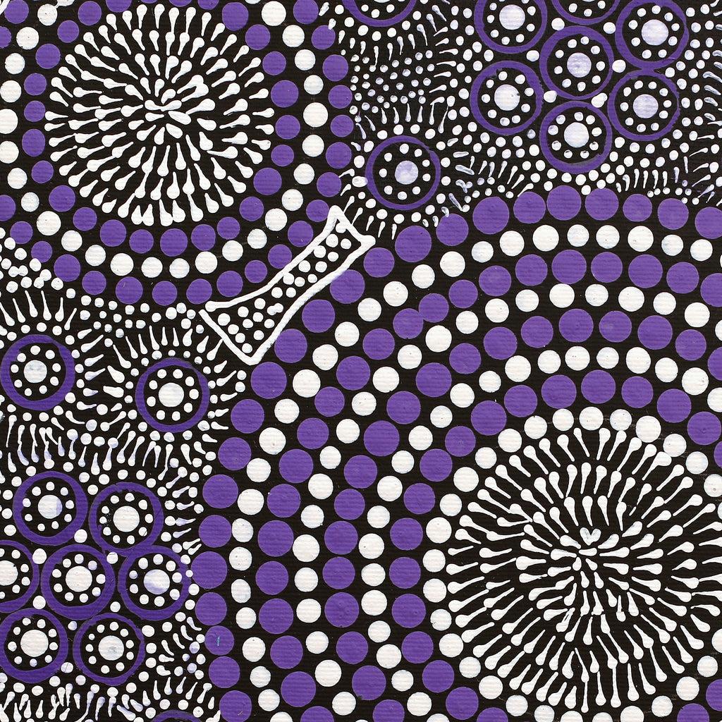 Aboriginal Artwork by Roseanne Nangala Stirling, Patterns of the Landscape around Yuendumu, 30x30cm