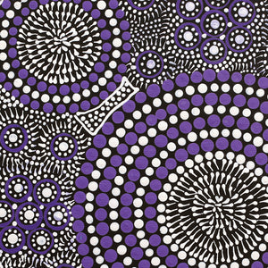 Aboriginal Artwork by Roseanne Nangala Stirling, Patterns of the Landscape around Yuendumu, 30x30cm - ART ARK®