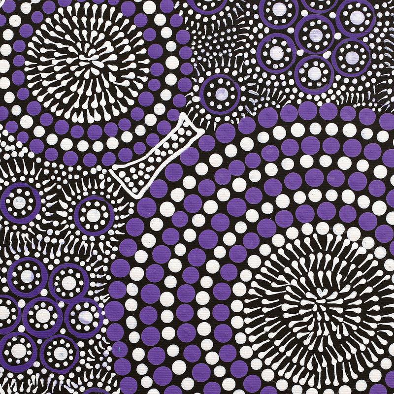Aboriginal Artwork by Roseanne Nangala Stirling, Patterns of the Landscape around Yuendumu, 30x30cm