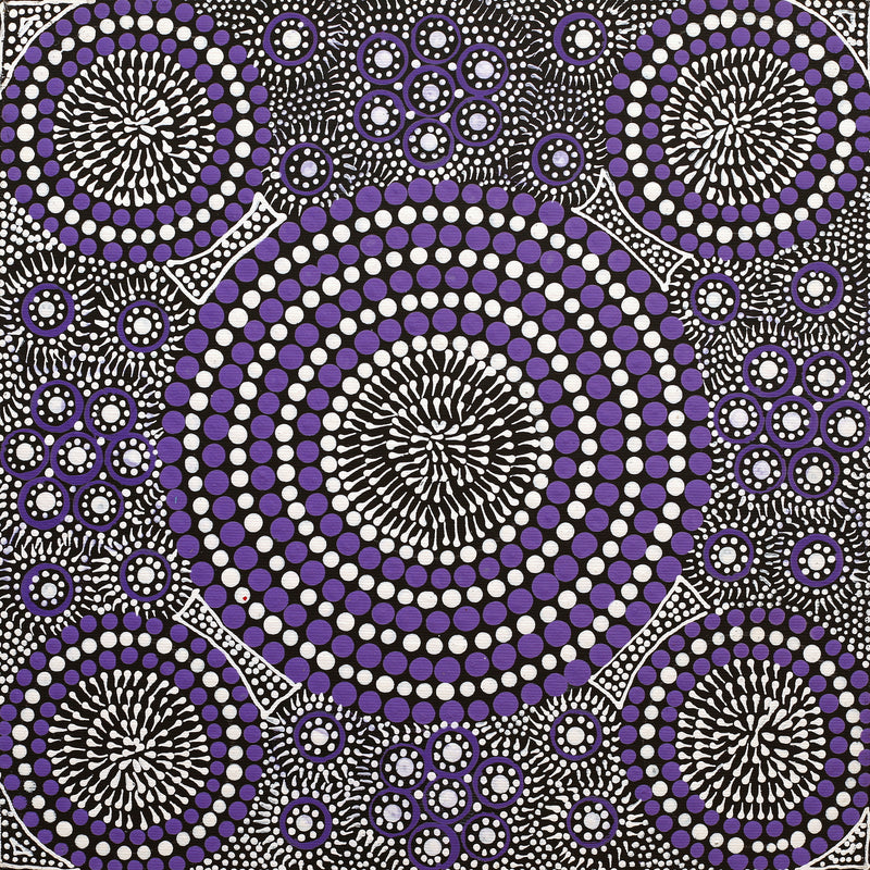 Aboriginal Artwork by Roseanne Nangala Stirling, Patterns of the Landscape around Yuendumu, 30x30cm