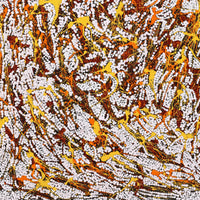 Aboriginal Artwork by Sarah-Jane Nampijinpa Singleton, Yankirri Jukurrpa (Emu Dreaming) - Ngarlikirlangu, 76x46cm