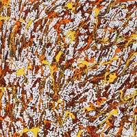 Aboriginal Artwork by Sarah-Jane Nampijinpa Singleton, Yankirri Jukurrpa (Emu Dreaming) - Ngarlikirlangu, 76x46cm