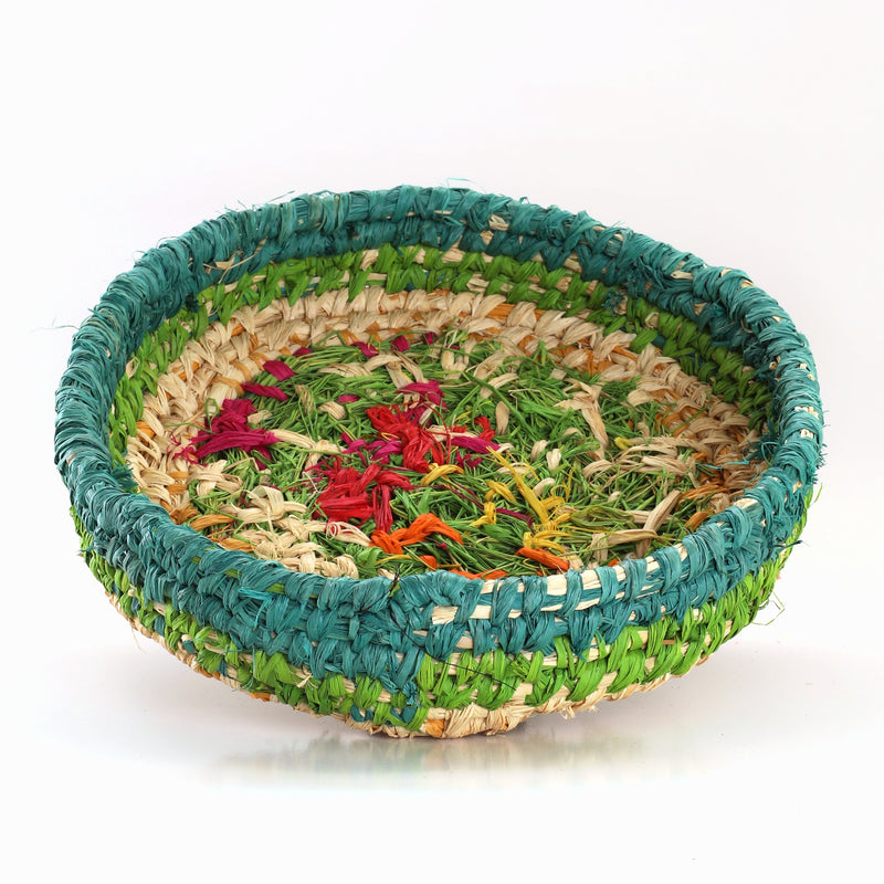Aboriginal Artwork by Sheena Dodd - Tjanpi Basket