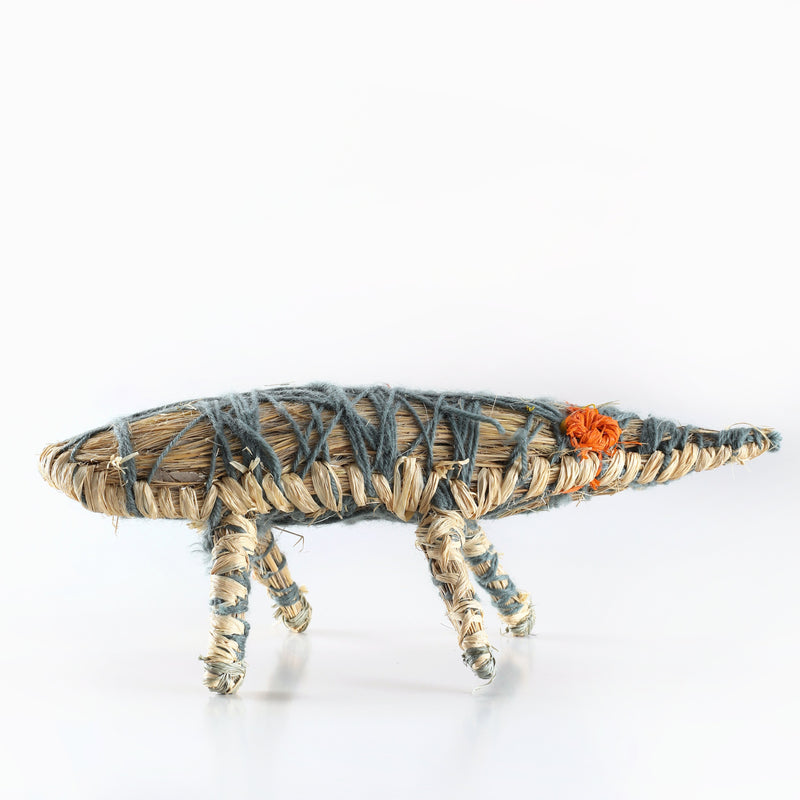 Aboriginal Artwork by Dorcas Tinnimai Benn - Tinka (lizard) Tjanpi Sculpture